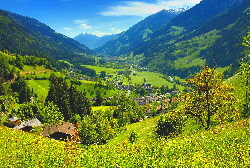 Wiese oberhalb St. Leonhard / das Tal wird grün